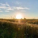 Energie vergelijken met een dynamisch energiecontract